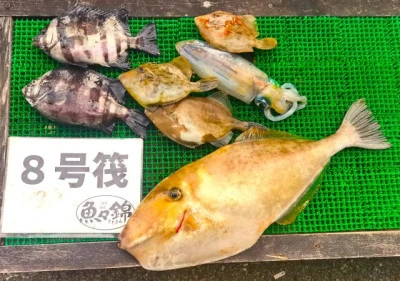 三重外湾漁協 錦事業所直営 釣り筏の2025年11月2日(日)2枚目の写真