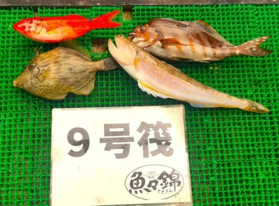 三重外湾漁協 錦事業所直営 釣り筏の2025年11月2日(日)3枚目の写真