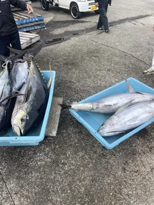 釣り船　由乃丸の2025年11月4日(火)4枚目の写真