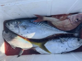 博栄丸の2025年11月7日(金)3枚目の写真