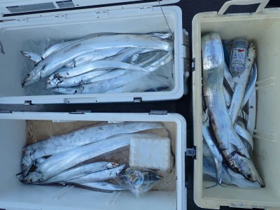 安延遊漁　建鳳丸の2025年11月7日(金)4枚目の写真