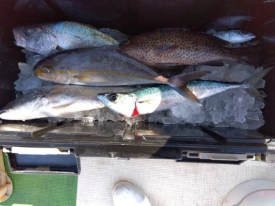 優幸丸の2025年11月7日(金)1枚目の写真