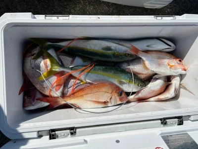 釣り船 黒潮丸の2025年11月8日(土)2枚目の写真