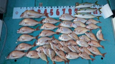 優誠丸の2025年11月8日(土)1枚目の写真