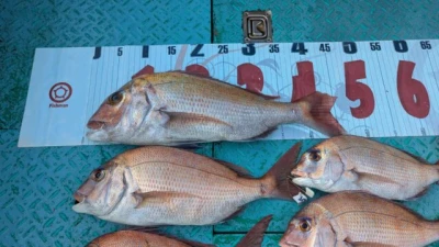 優誠丸の2025年11月8日(土)2枚目の写真