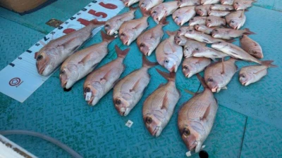 優誠丸の2025年11月8日(土)3枚目の写真