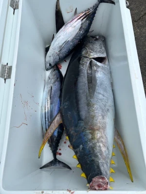 釣り船 黒潮丸の2025年11月9日(日)2枚目の写真