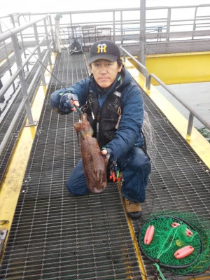 宮津市海洋つり場の2025年11月9日(日)2枚目の写真