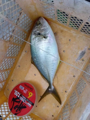 優幸丸の2025年11月10日(月)2枚目の写真