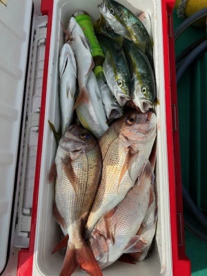 釣り船 黒潮丸の2025年11月12日(水)2枚目の写真