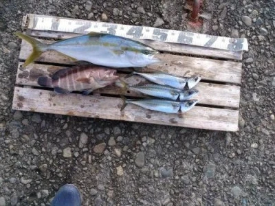 利一丸の2025年11月12日(水)1枚目の写真