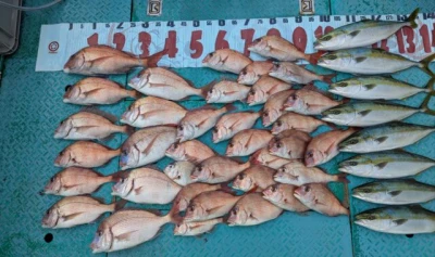 優誠丸の2025年11月12日(水)1枚目の写真