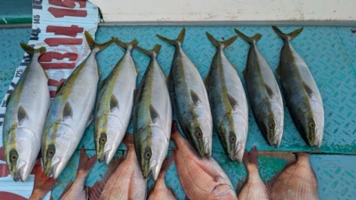 優誠丸の2025年11月12日(水)2枚目の写真