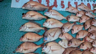 優誠丸の2025年11月12日(水)3枚目の写真