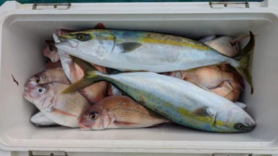 優誠丸の2025年11月12日(水)4枚目の写真