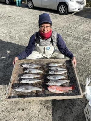 佐円丸の2025年11月12日(水)3枚目の写真