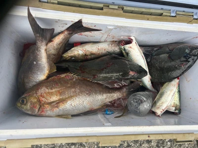 てる丸の2025年11月12日(水)3枚目の写真