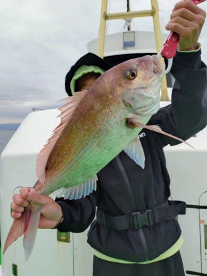 弘漁丸の2025年11月13日(木)3枚目の写真