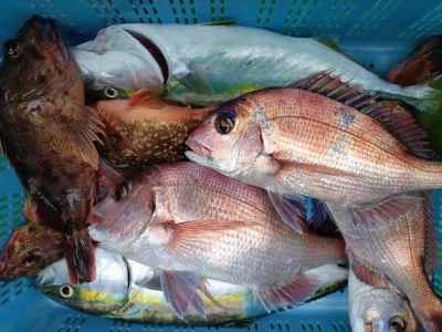 弘漁丸の2025年11月13日(木)5枚目の写真