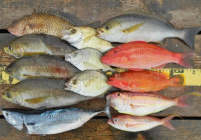 岩崎レンタルボート(岩崎つり具店)の2025年11月13日(木)3枚目の写真