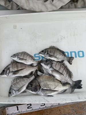 金丸渡船の2025年11月13日(木)5枚目の写真