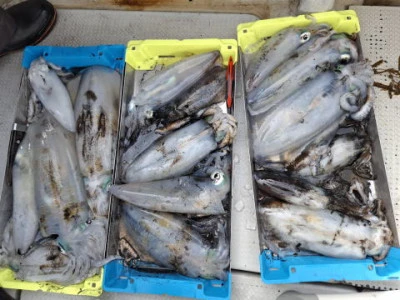 アーデン3号の2025年11月13日(木)1枚目の写真