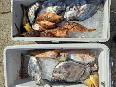 アーデン3号の2025年11月10日(月)1枚目の写真