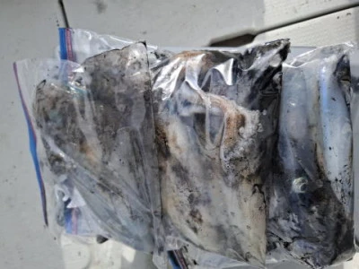 アーデン3号の2025年11月8日(土)1枚目の写真