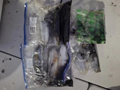 アーデン3号の2025年11月8日(土)2枚目の写真