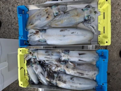 アーデン3号の2025年11月7日(金)1枚目の写真