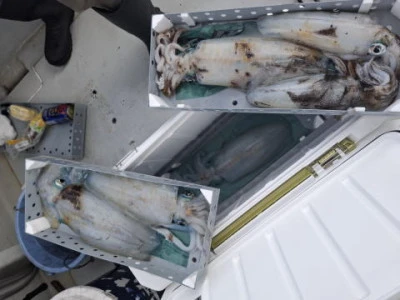 アーデン3号の2025年11月6日(木)1枚目の写真