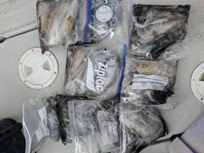 アーデン3号の2025年11月3日(月)1枚目の写真