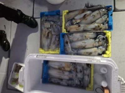 アーデン3号の2025年11月1日(土)1枚目の写真