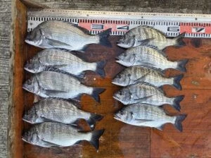 民宿とねの2025年11月11日(火)1枚目の写真