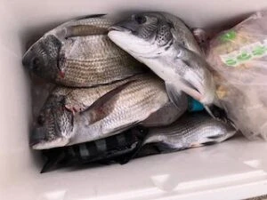 民宿とねの2025年11月11日(火)3枚目の写真