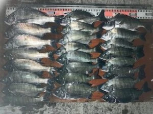 民宿とねの2025年11月5日(水)1枚目の写真