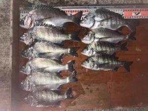 民宿とねの2025年11月5日(水)2枚目の写真