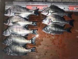 民宿とねの2025年11月5日(水)3枚目の写真