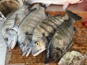 民宿とねの2025年11月4日(火)1枚目の写真