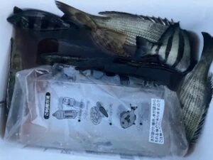 民宿とねの2025年11月4日(火)2枚目の写真