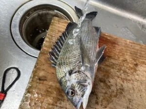 民宿とねの2025年11月4日(火)3枚目の写真