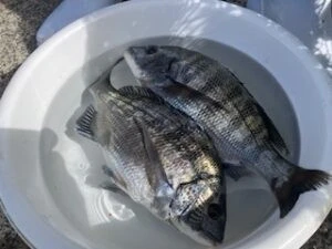 民宿とねの2025年11月4日(火)4枚目の写真