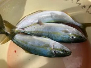 民宿とねの2025年11月4日(火)5枚目の写真