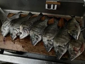 民宿とねの2025年11月2日(日)1枚目の写真