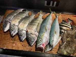 民宿とねの2025年11月2日(日)2枚目の写真