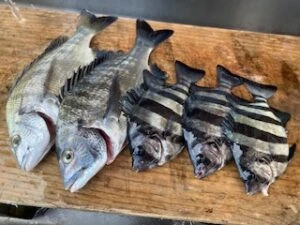 民宿とねの2025年11月2日(日)3枚目の写真