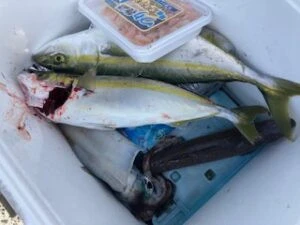 民宿とねの2025年11月2日(日)5枚目の写真