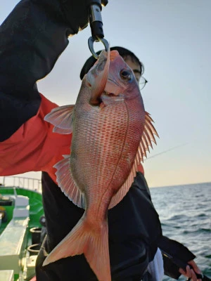 弘漁丸の2025年11月14日(金)4枚目の写真