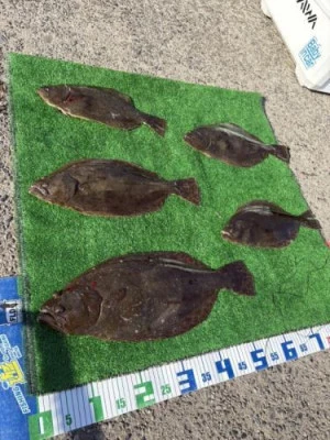 竜宝丸の2025年11月14日(金)3枚目の写真