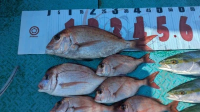 優誠丸の2025年11月14日(金)2枚目の写真